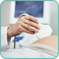 УЗИ в 1 триместре беременности (до 14 недель)