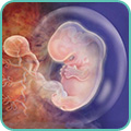 Аборт в Царицыно: медикаментозный и инструментальный