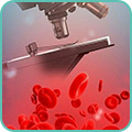 Биохимический анализ крови человека
