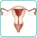 Биопсия шейки матки «Сургитроном»