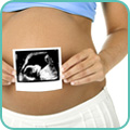 УЗИ во II триместре беременности (с 14 недель до 28)